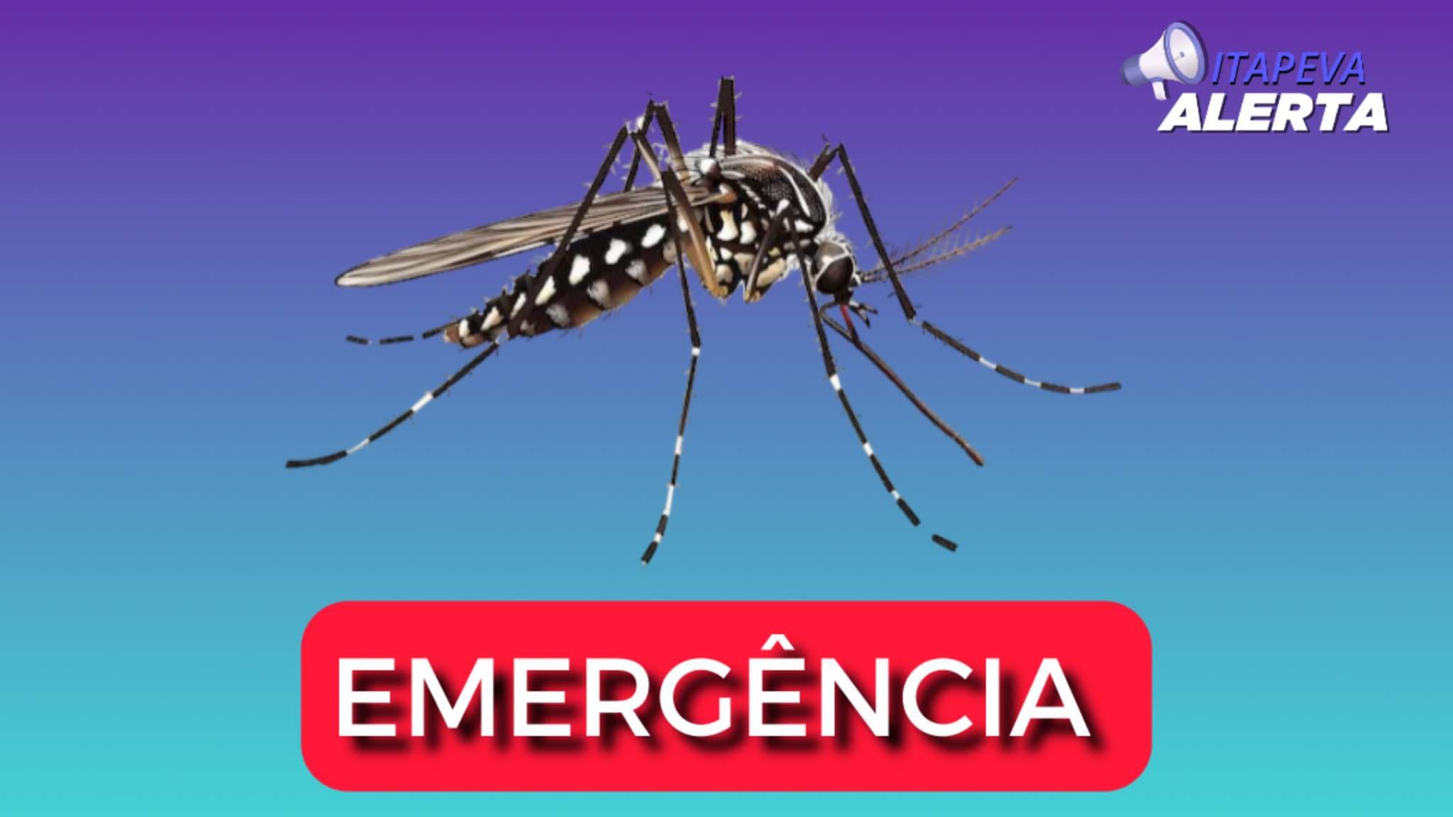 Itapeva declara situação de emergência devido à alta nos casos de dengue, já são 585 casos registrados na cidade