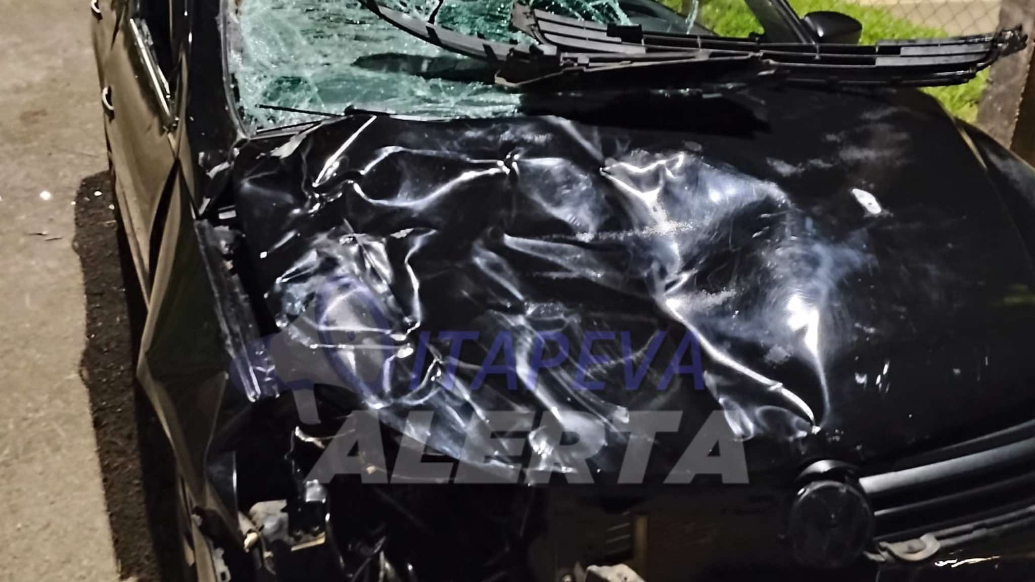 Boi invade Rodovia de Itapeva/SP e é atropelado por veículo