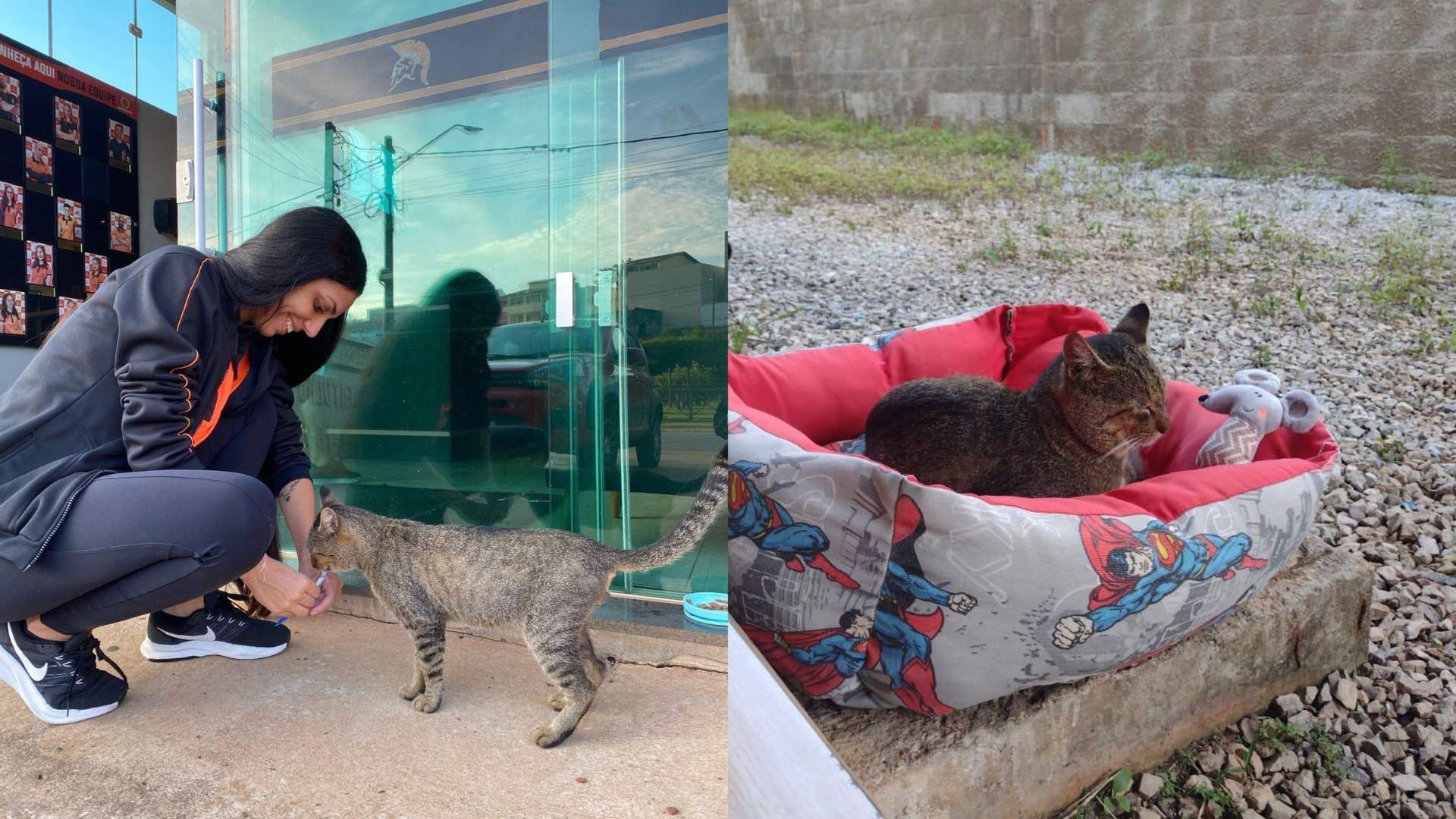 Após 6 dias de buscas incansáveis, Isa reencontra Wagninho — gato comunitário é resgatado com vida