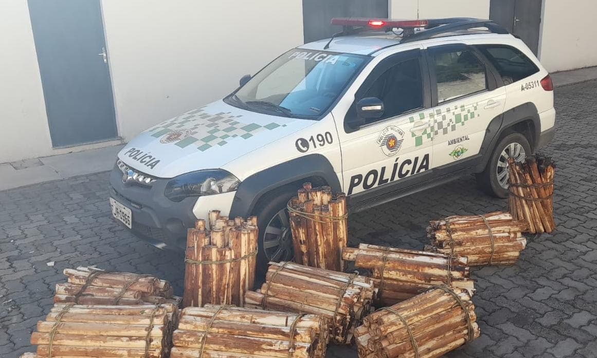 Polícia Ambiental e policiamento territorial apreendem carga ilegal de palmito
