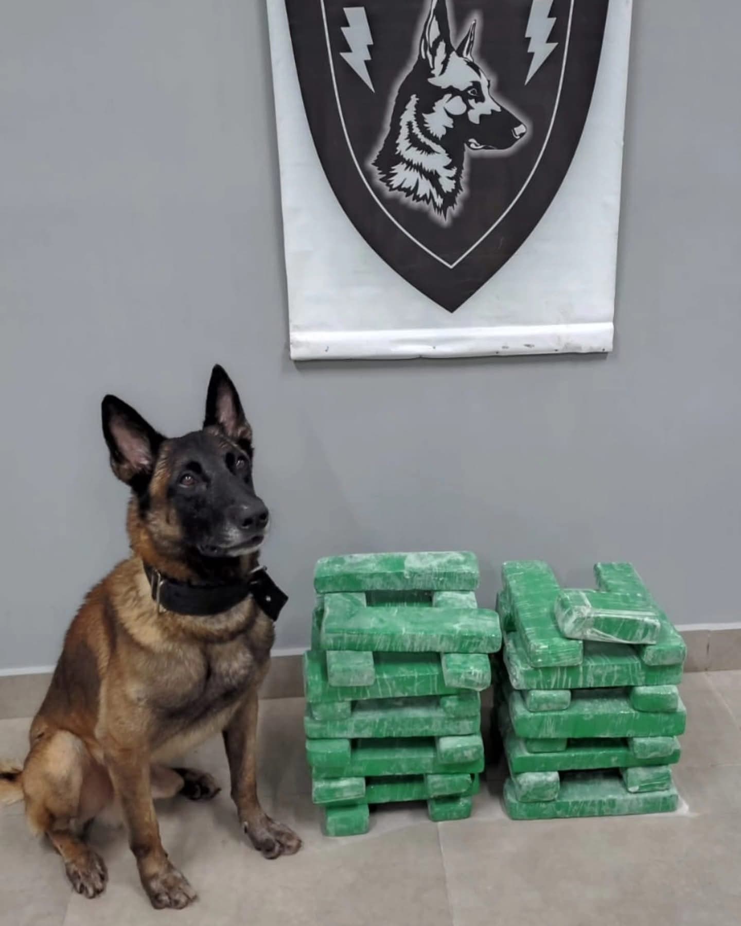 GCM prende homem com mais de 20 kg de drogas em rodoviária de Itararé