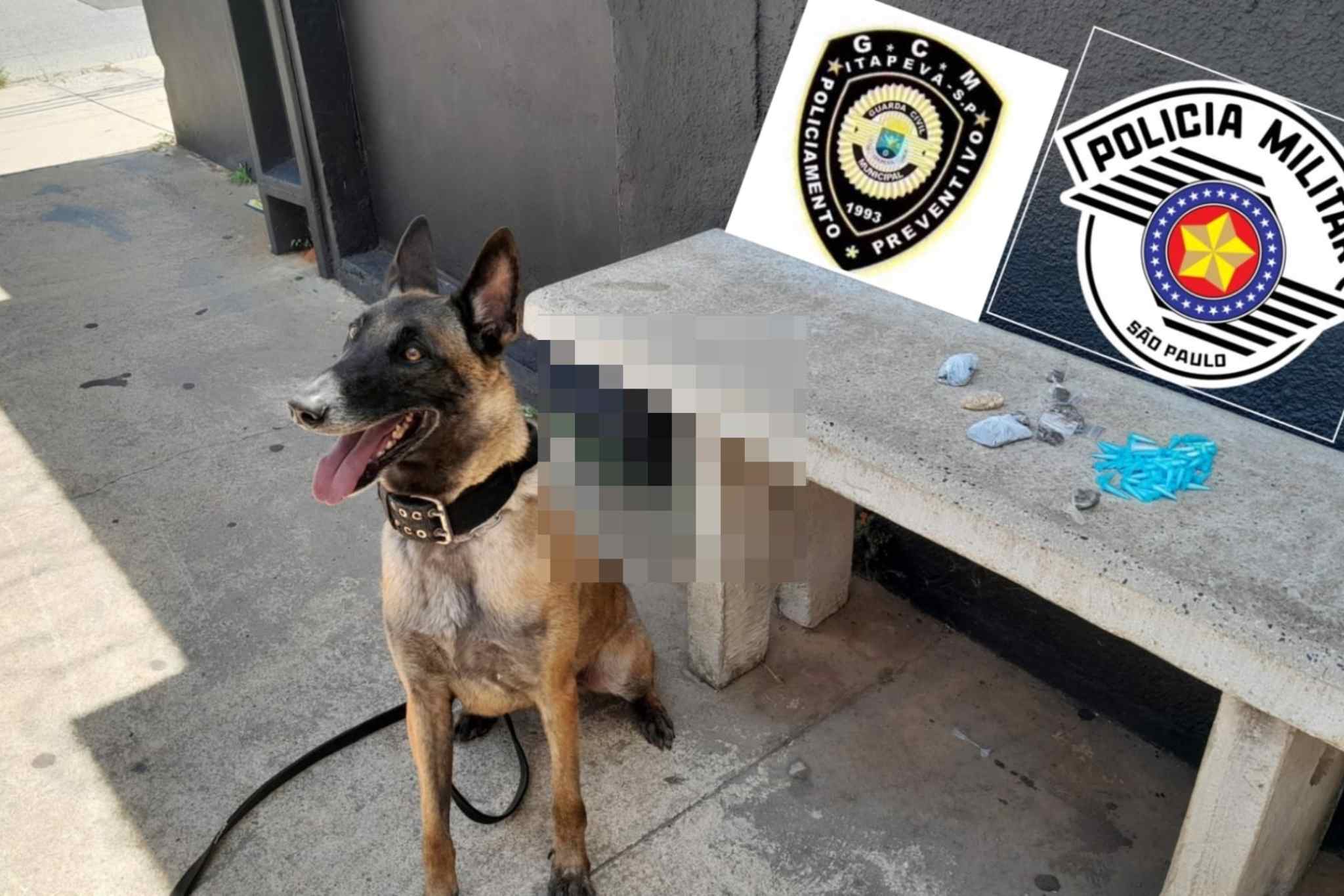 Polícia Militar apreende drogas durante patrulhamento em Itapeva