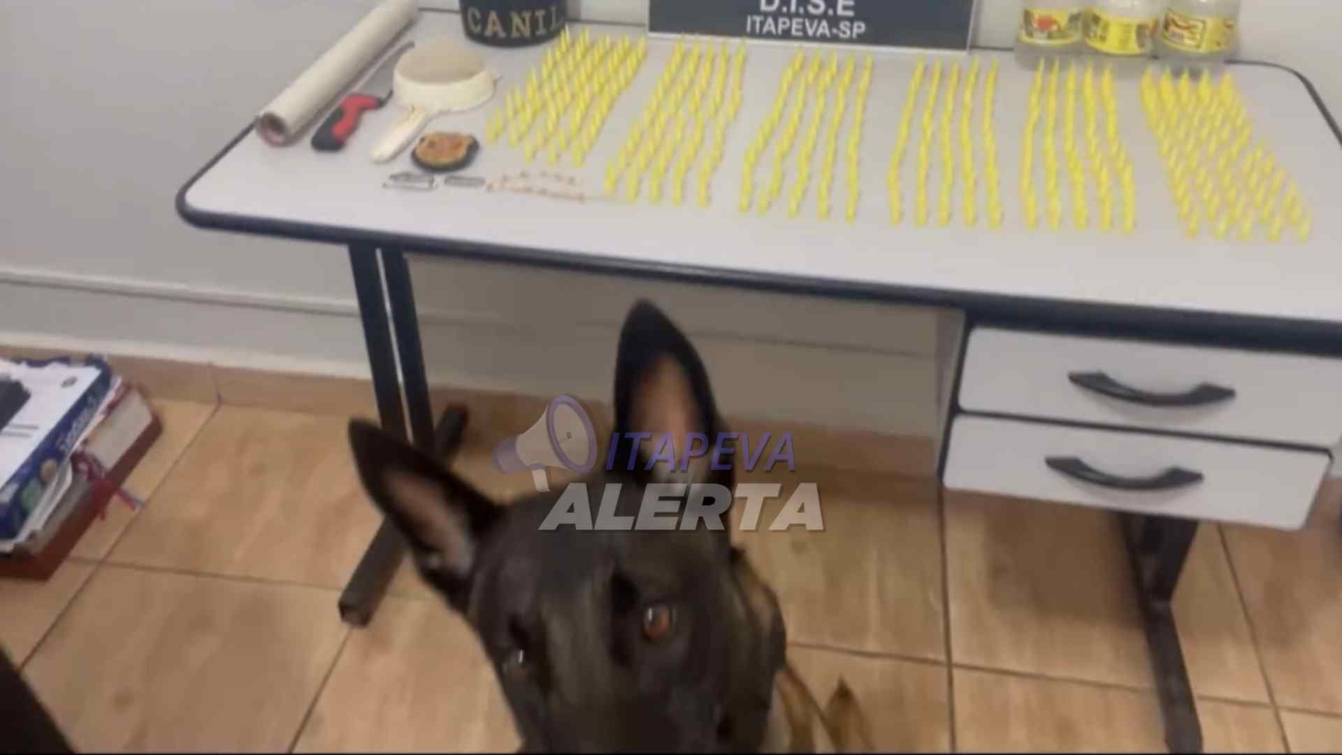 Polícia Civil apreende drogas escondidas em garrafas de cachaça durante operação em Itapeva