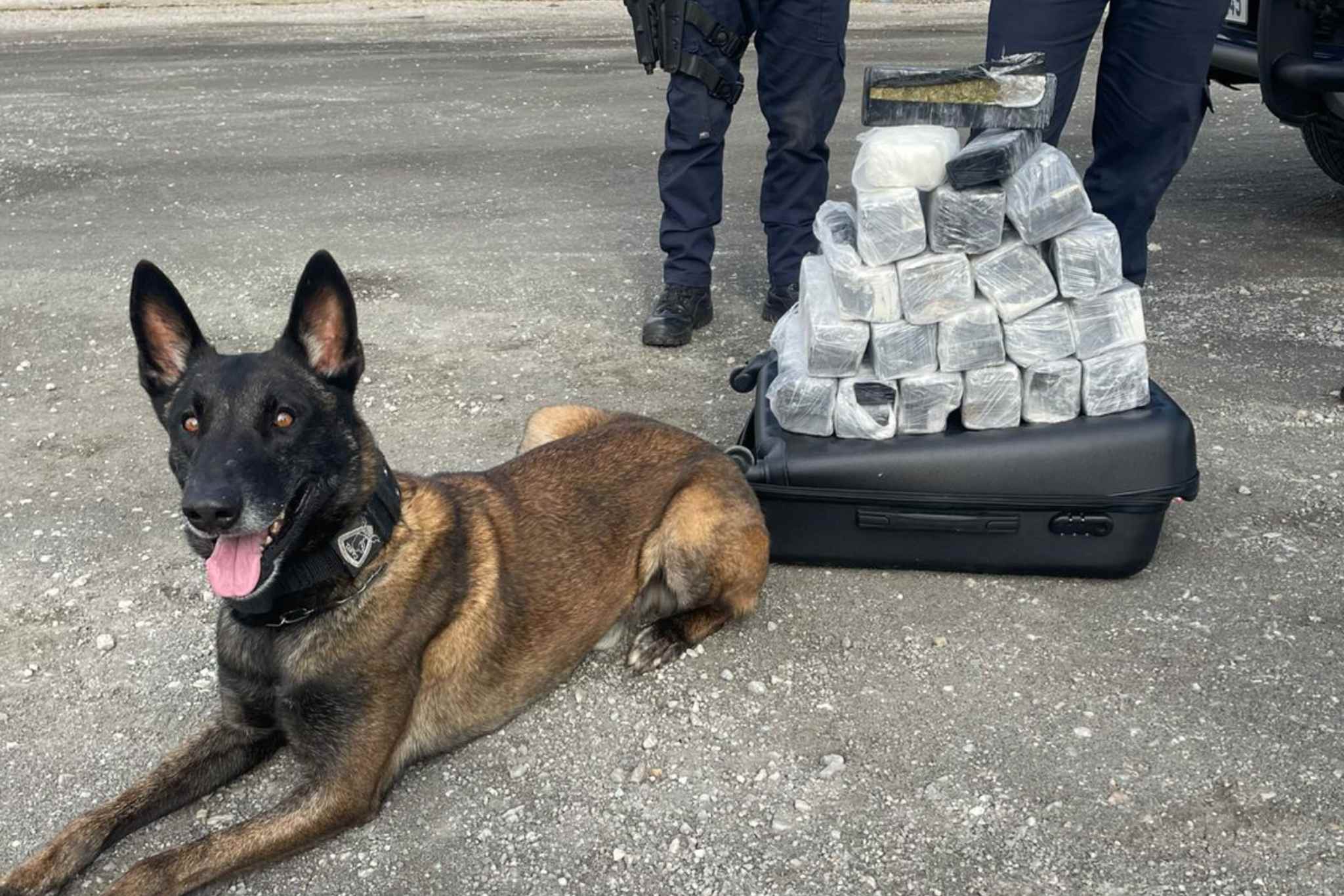 Policiais Civis da Delegacia Seccional de Itapeva realizaram, na manhã desta terça-feira (20/08), a apreensão de cerca de 22 quilos de maconha e 500 gramas de haxixe transportados em um ônibus vindo do Paraná.