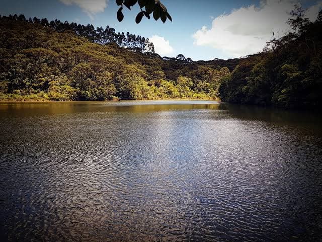 Corpo de adolescente é encontrado em represa de fazenda em São Miguel Arcanjo