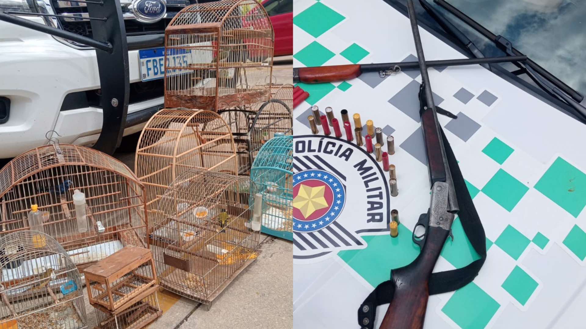 Polícia Ambiental apreende armas e aves silvestres e prende suspeito de caça ilegal em Nova Campina