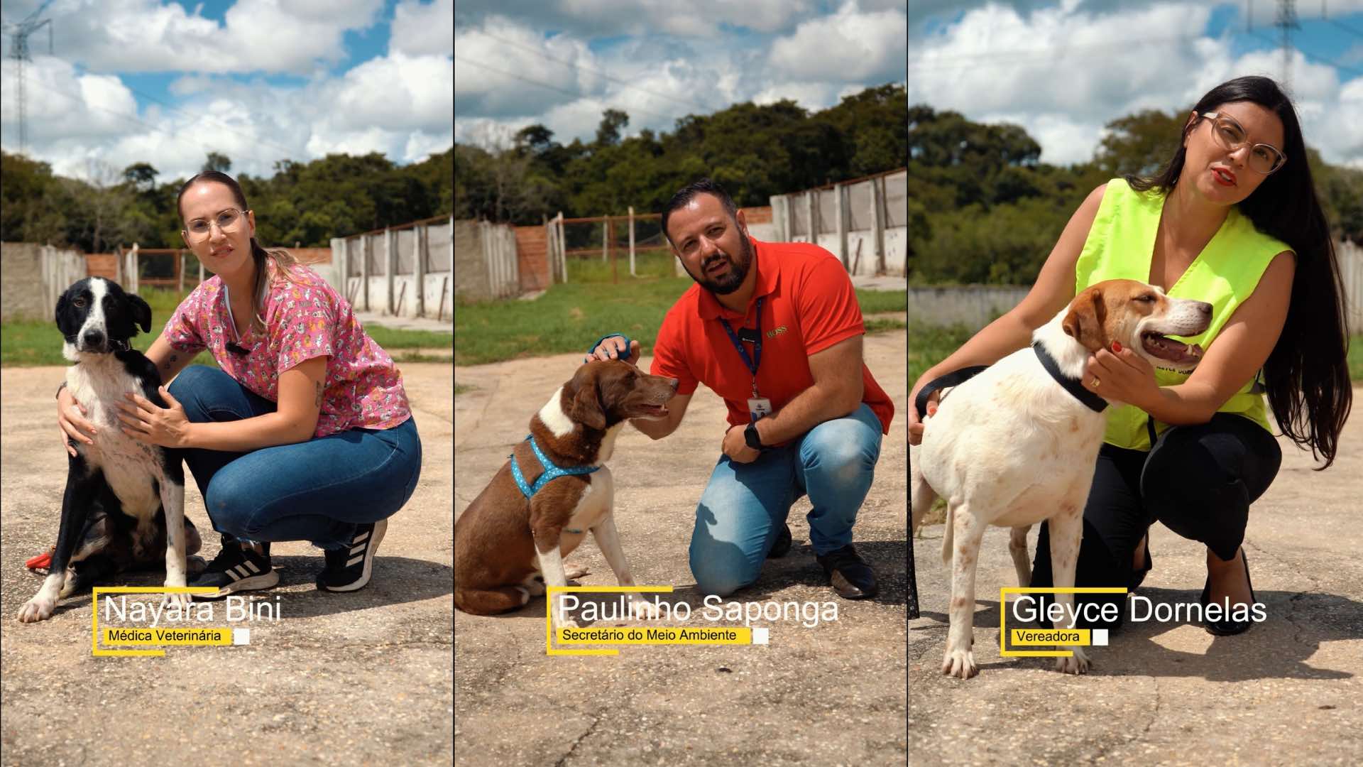 Evento de adoção animal acontece neste sábado na Agromar e convida população a transformar vidas