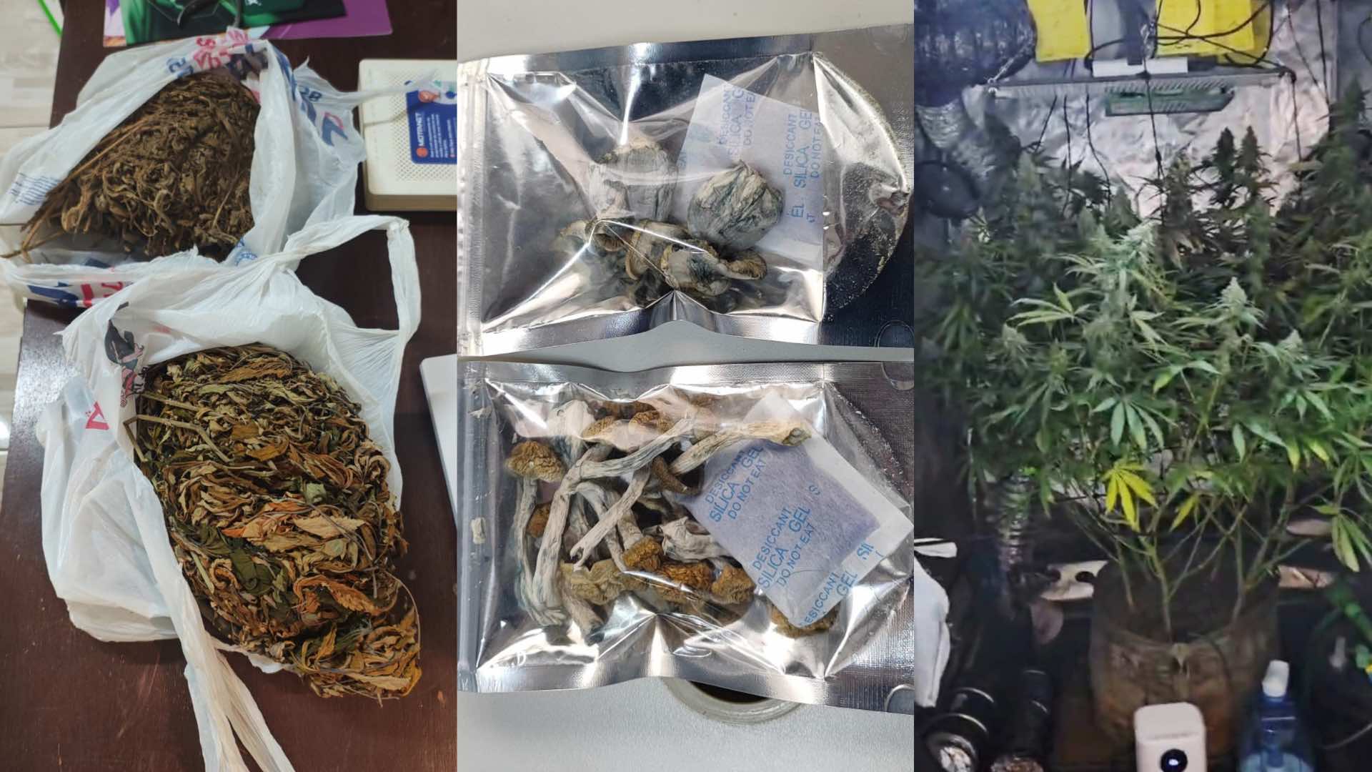 Operação “Dor de Dente”: dentista é preso por tráfico de drogas em Itararé
