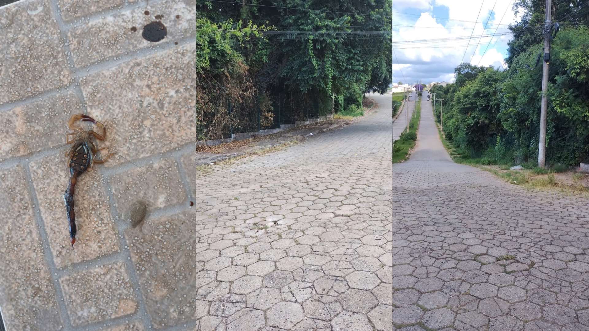Mato alto, promessa não cumprida e risco à saúde revoltam moradores no Parque Residencial Itapeva