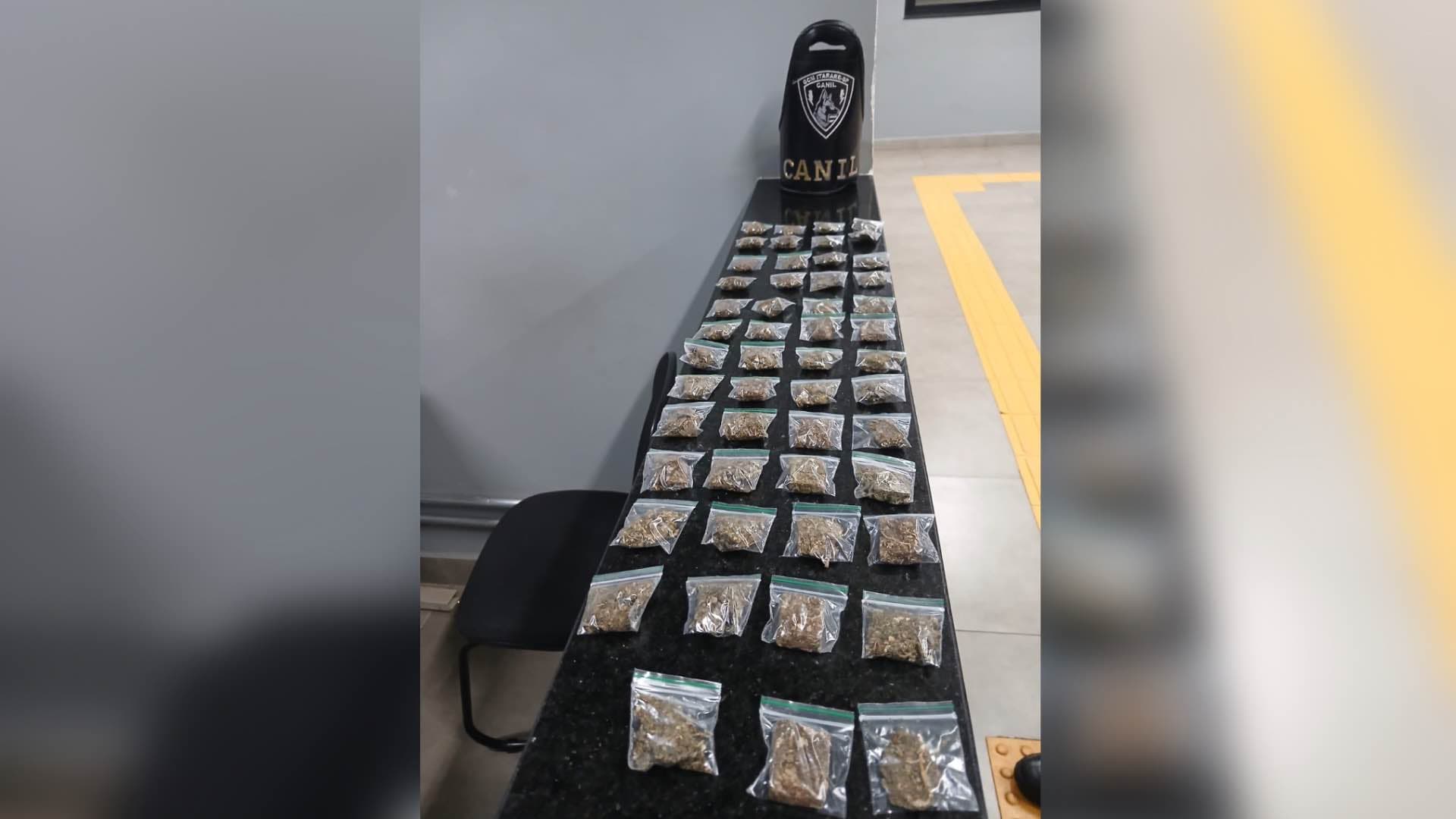 GCM apreende 51 porções de droga após denúncia no Novo Horizonte, em Itararé