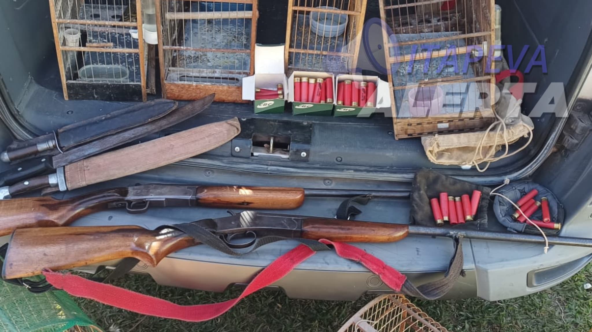 Armas, cartuchos, munições, facões e gaiolas com pássaros nativos da fauna Brasileira são apreendidos em operação do 5º batalhão da Polícia Militar Ambiental
