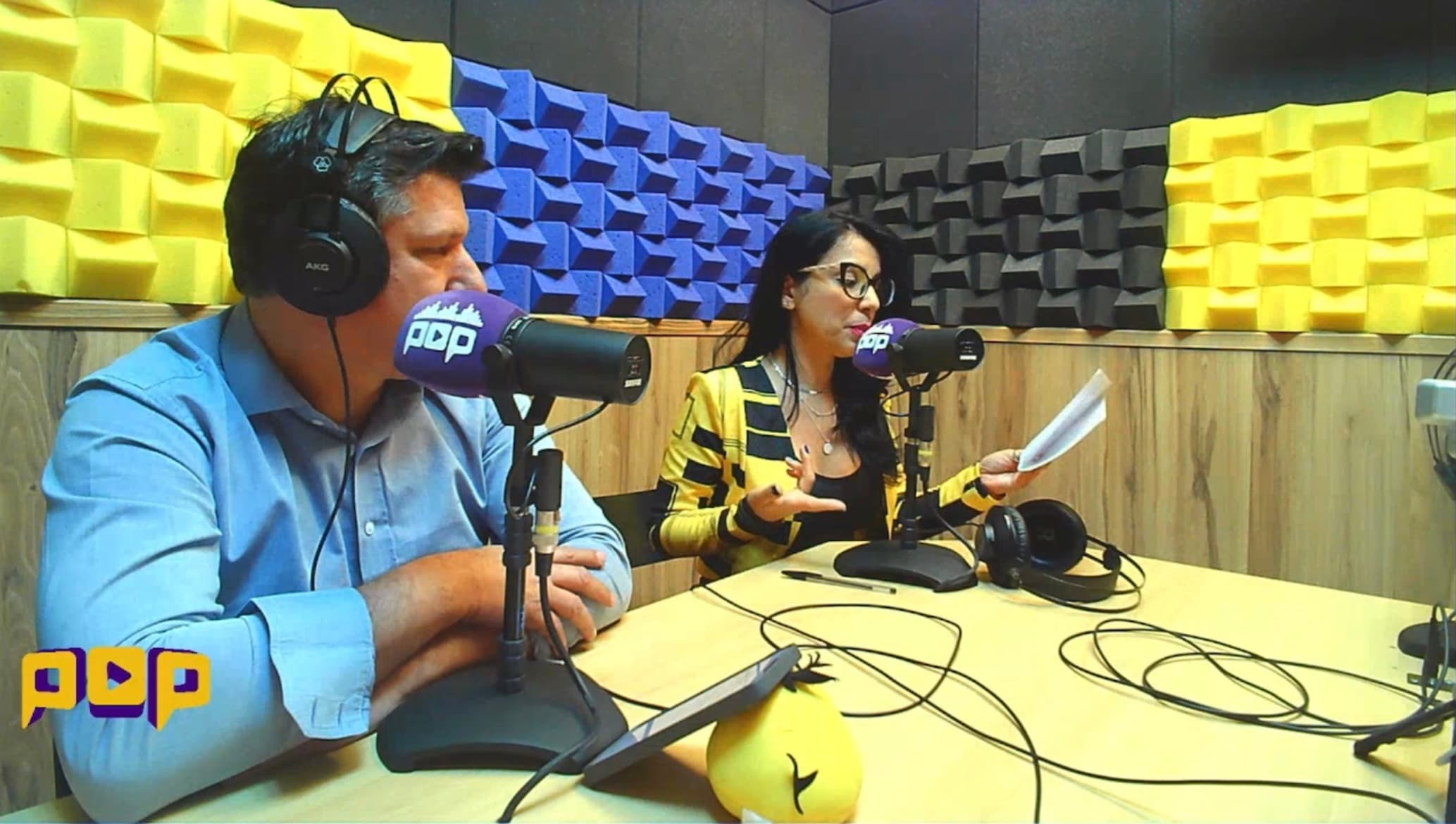 Vereadora em busca de protagonismo evita assunto importante para a população em participação em rádio on-line