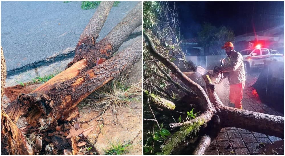 Rajadas de vento causam estragos em cidades do interior de SP
