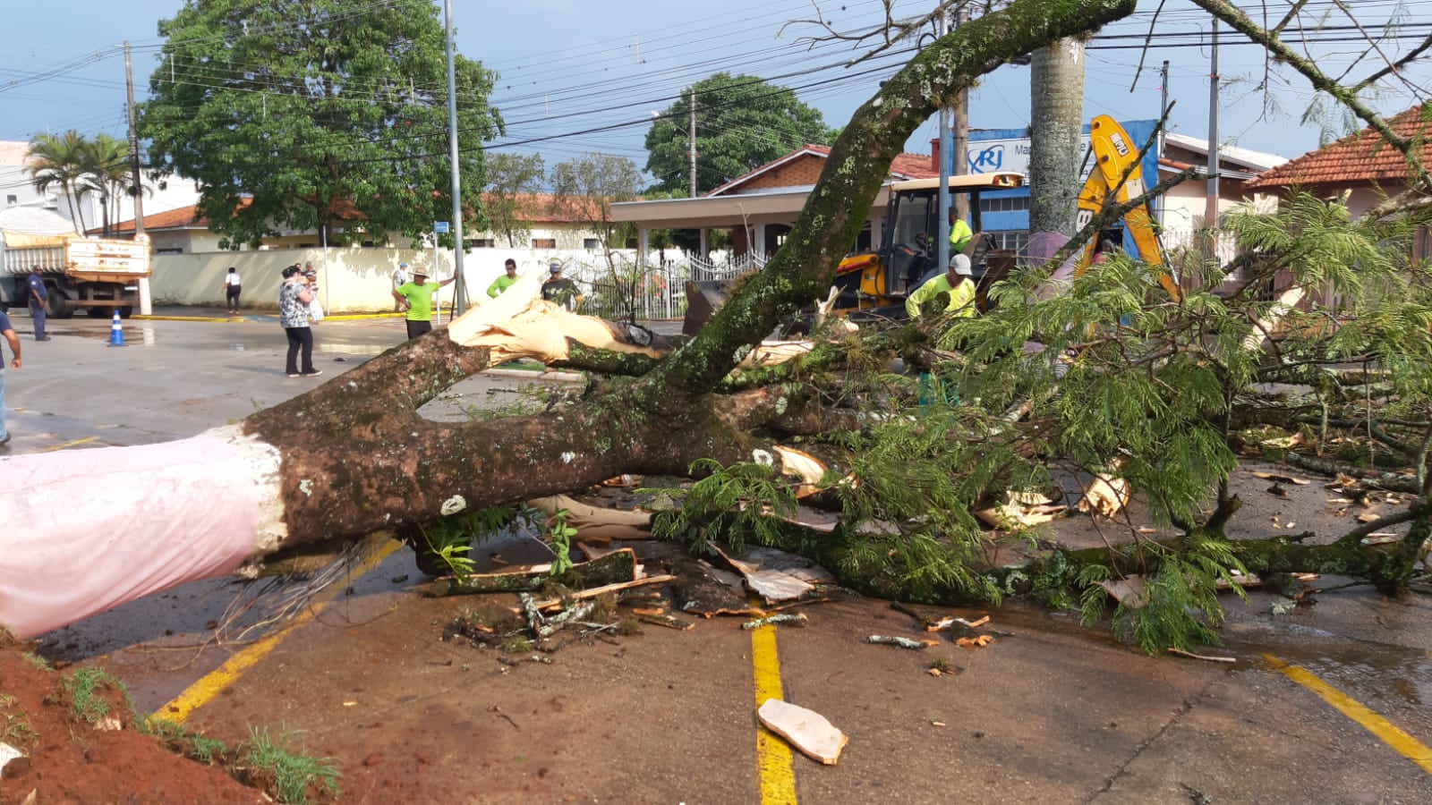 Temporal causa transtornos e árvore cai em Buri/SP
