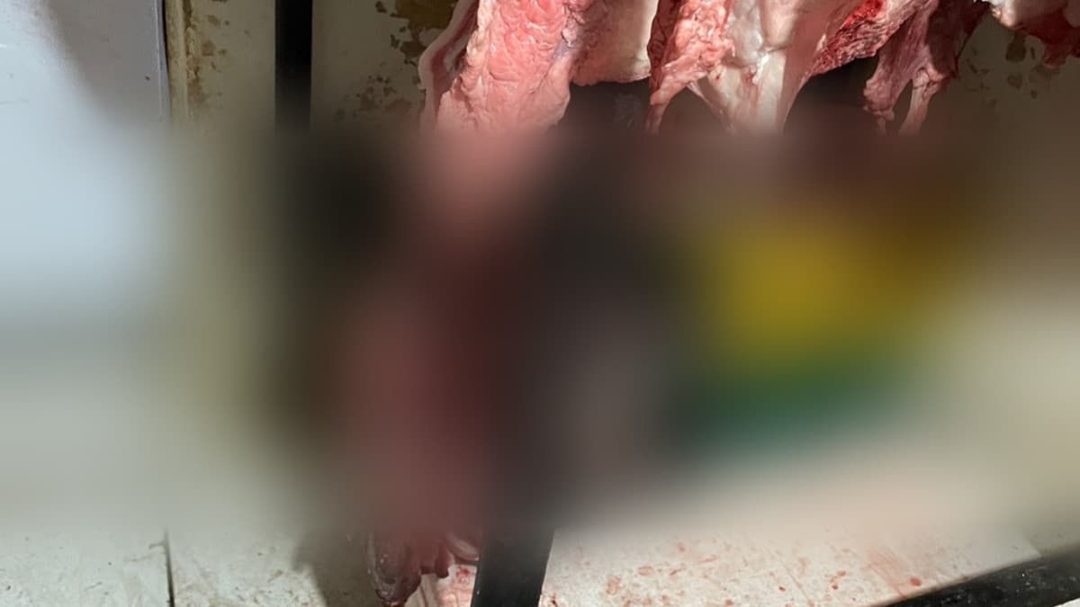 Denúncias de vendas de carnes vencidas, estragadas e sujeira em açougue de Itapeva