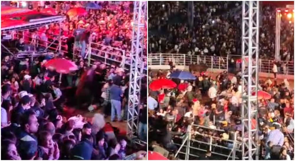 Touro provoca tumulto ao invadir arena de rodeio durante evento em Avaré