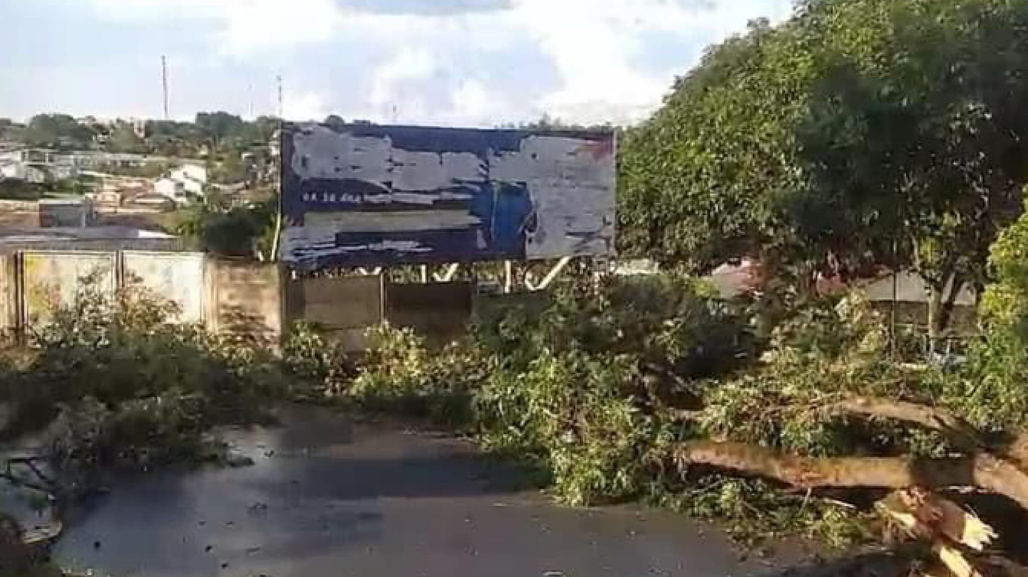 Temporal causa estragos em Itapeva/SP -Queda de árvores, postes e fios de energia comprometem alguns pontos da cidade
