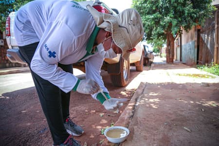 ALERTA EPIDEMIOLÓGICO: ITAPEVA REGISTRA AUMENTO DE CASOS DE DENGUE